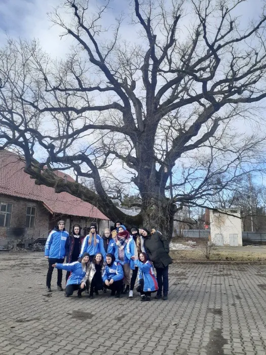 «Янтарный десант»