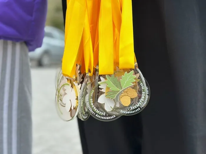 ЭкоМарафон в Ладушкине: вместе к чистоте и заботе о природе!