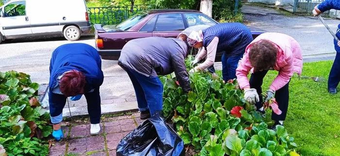 Cубботник на территории памятника Героя Советского Союза И.М. Ладушкина.