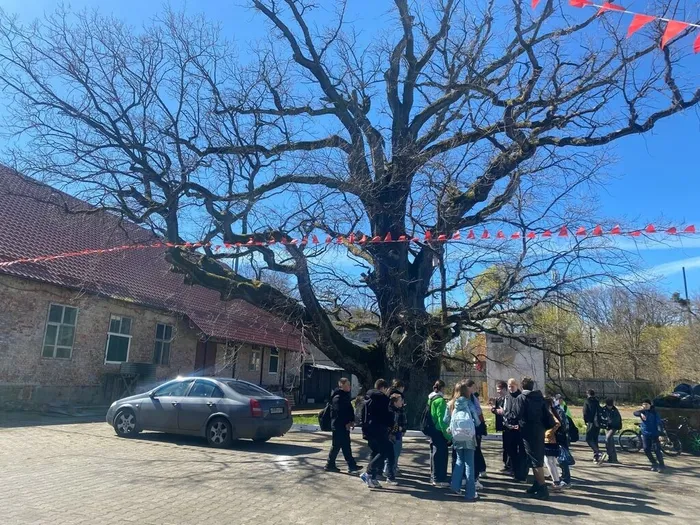 Эстафета добрых дел в Ладушкине:
