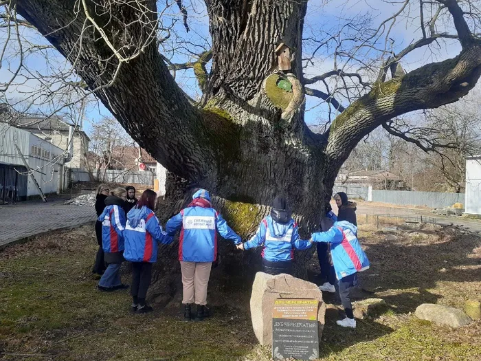 «Янтарный десант»