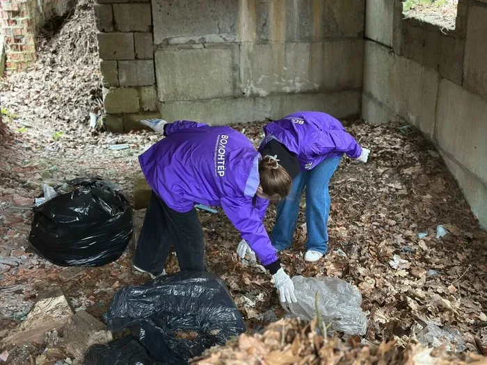 ЭкоМарафон в Ладушкине: вместе к чистоте и заботе о природе!