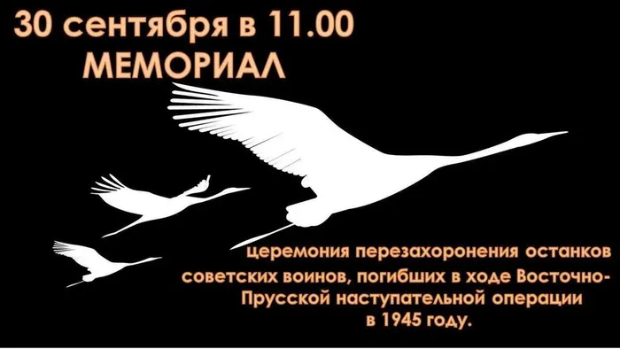 церемония перезахоронения останков советских воинов