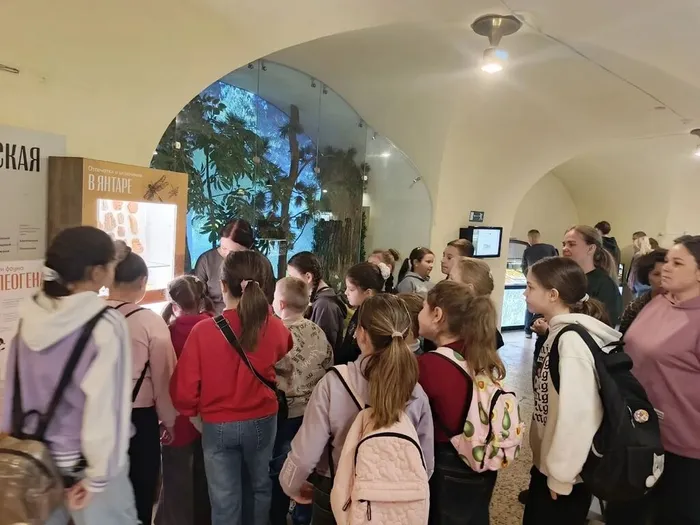 Поездка в Калининградский музей янтар