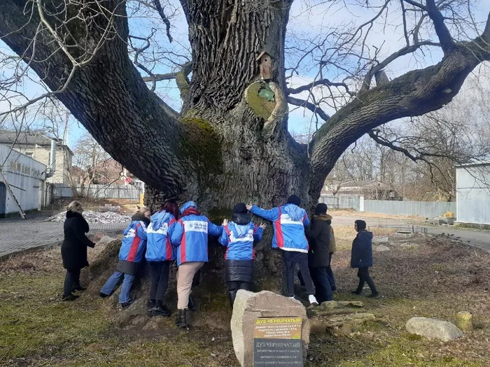 «Янтарный десант»