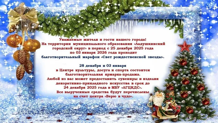 Благотворительная ярмарка "Свет рождественской звезды"