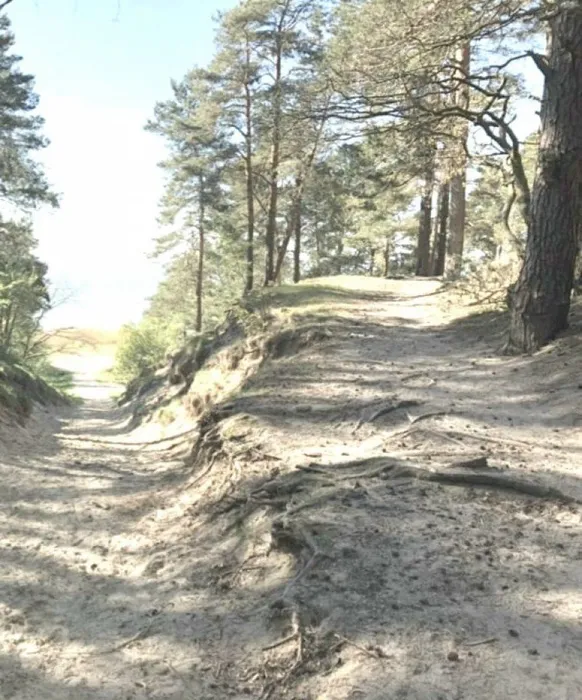 "Янтарный десант ".Второй день